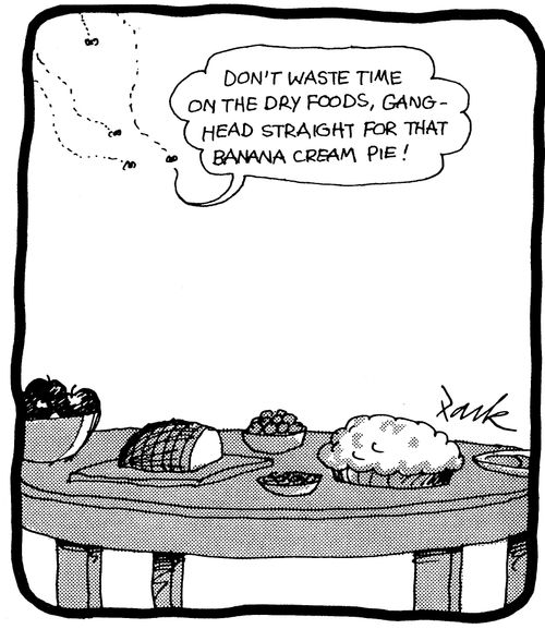 'Don't waste time on the dried foods gang, head straight for that banana cream pie!'