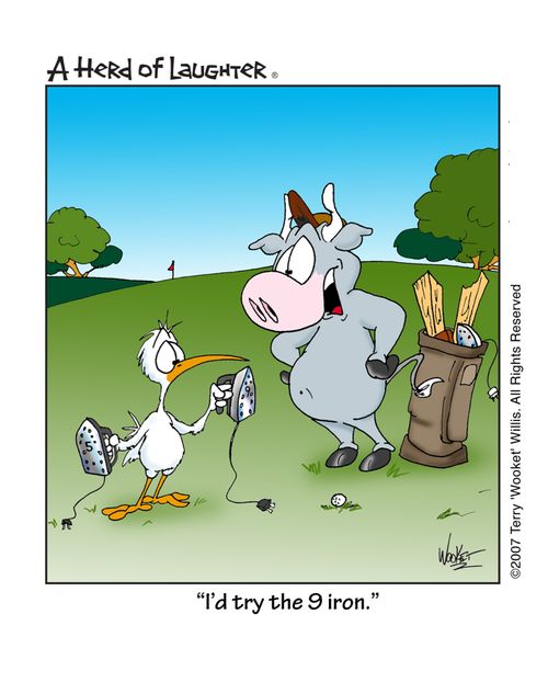 'Id try the 9 iron.'