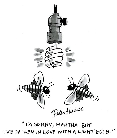 'I'm sorry Martha, but I've fallen in love with a light bulb.'