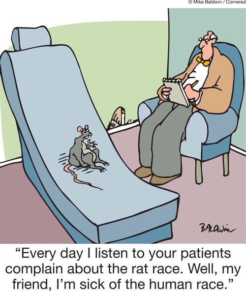 'Every day I listen to your patients complain about the rat race. Well, my friend, I'm sick of the human race.'