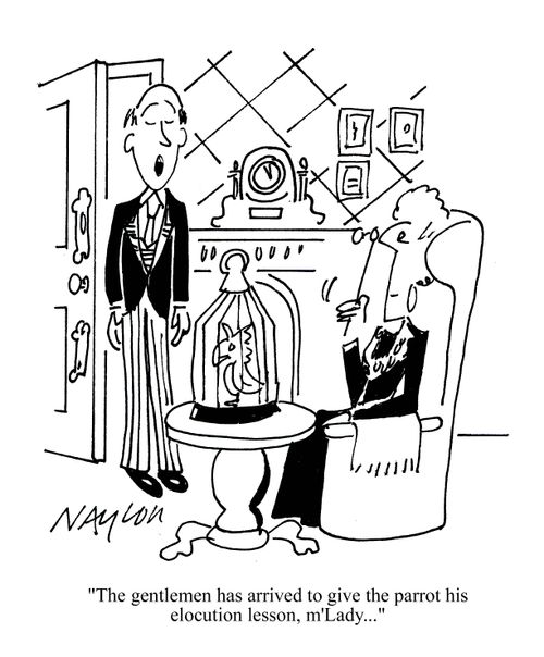 'The gentleman has arrived to give the parrot his elocution lesson, m'Lady...'