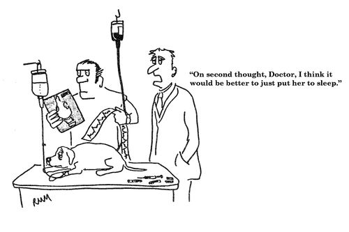 'On second thought, Doctor, I think it would be better to just put her to sleep.'
