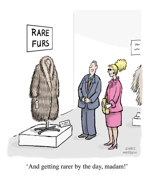 "And getting rarer by the day, madam!"