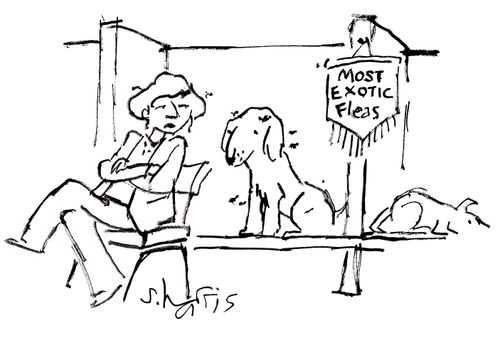 'Most exotic fleas'
