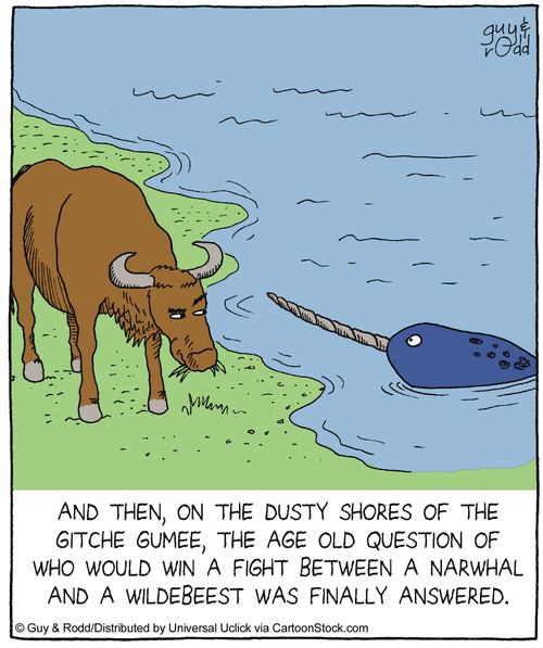 And then, on the dusty shores of the Gitche Gumee, the age old question of who would win a fight between a narwhal and a wildebeest was finally answered.
