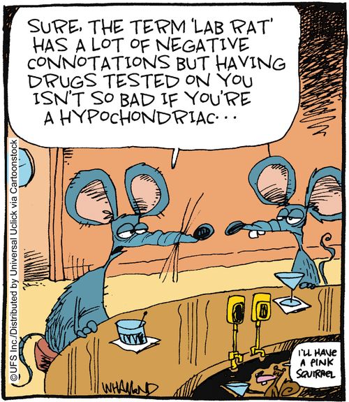 'Sure, the term 'lab rat' has a lot of negative connotations but having drugs tested on you isn't so bad if you're a hypochondriac...'