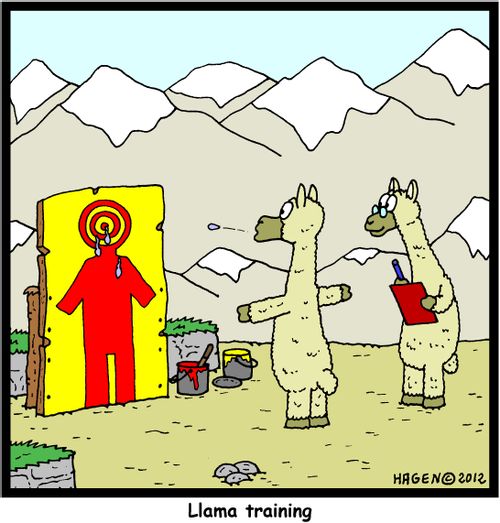 Llama training