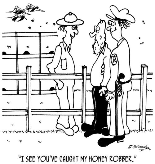 I see you've caught my honey robber.'