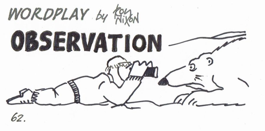 Wordplay: Observation