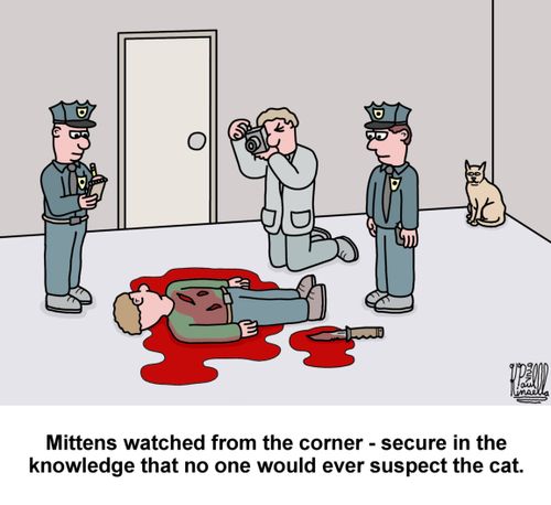 Mittens watched from the corner - secure in the knowledge that no one would ever suspect the cat.