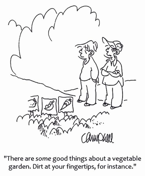 'There are some good things about a vegetable garden. Dirt at your fingertips, for instance.'