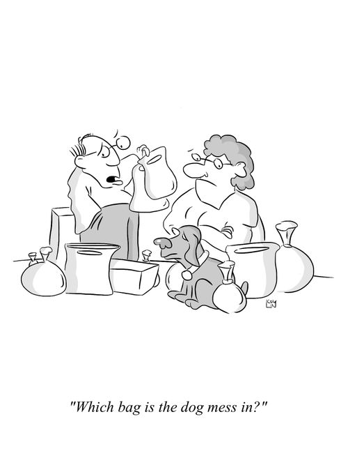 'Which bag is the dog mess in?'