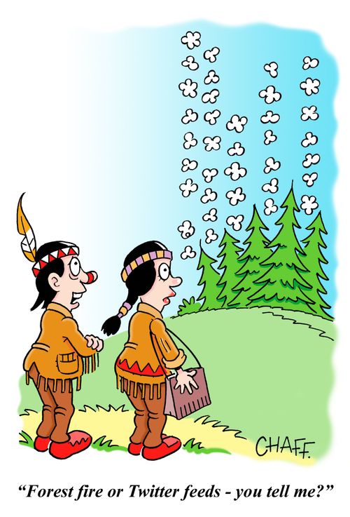 'Forest fire or Twitter feeds - you tell me?'