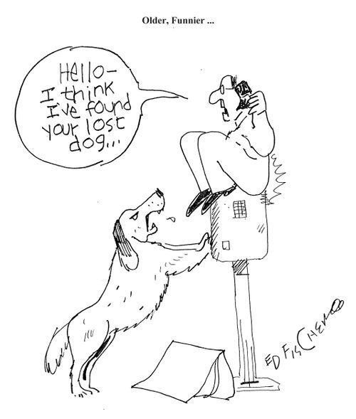 'Hello - I think I've found your lost dog...'