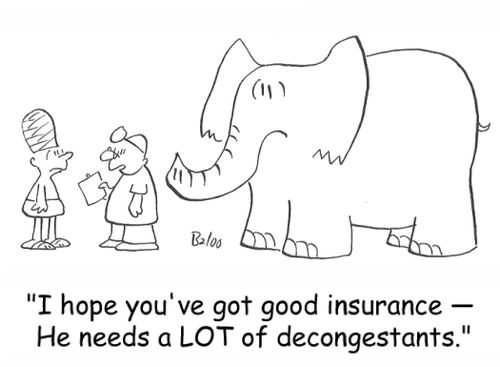 'I hope you've got good insurance -- He needs a LOT of decongestants.'