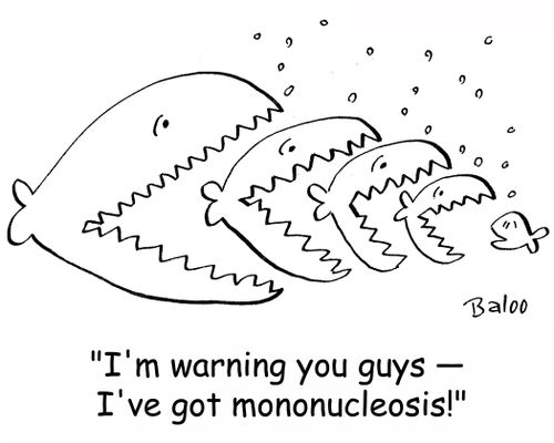 'I'm warning you guys -- I've got mononucleosis!'