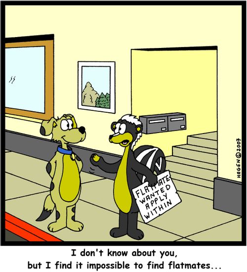 I don't know about you, but I find it impossible to find flatmates...