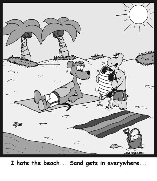 'I hate the beach... Sand gets in everywhere...'