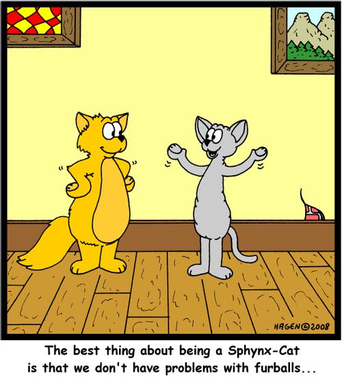 'The best thing about being a Sphynx-Cat is that we don't have problems with furballs...'