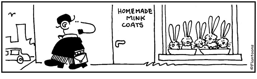 Homemade Mink Coats.