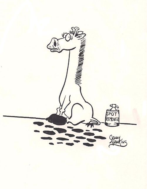 Giraffe, having been sprayed by 'Spot Remover' has no splotches.