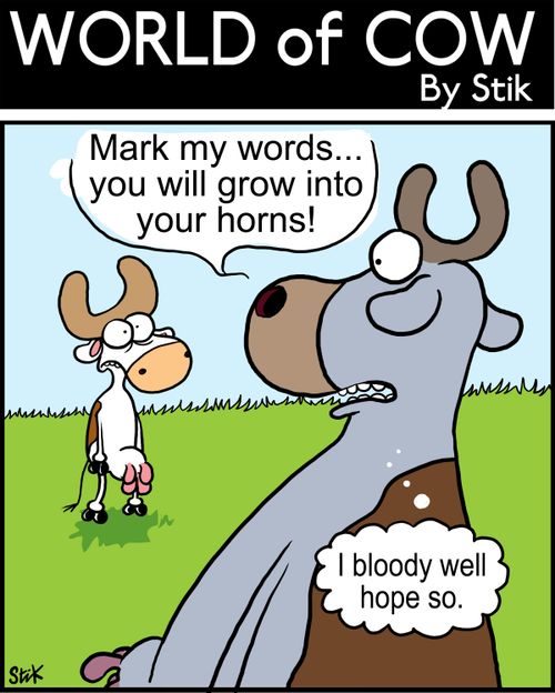 Mark my words...you will grow into your horns! I bloody well hope so.