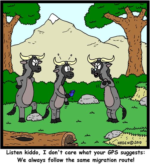 'Listen kiddo, I don't care what your GPS suggests: We always follow the same migration route!'