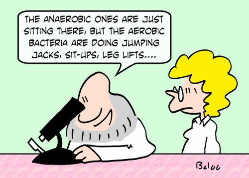 'The anaerobic ones are just sitting there, but the aerobic bacteria are doing jumping jacks, sit-up, leg lifts....'