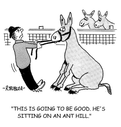 'This is going to be good. He's sitting on an ant hill.'