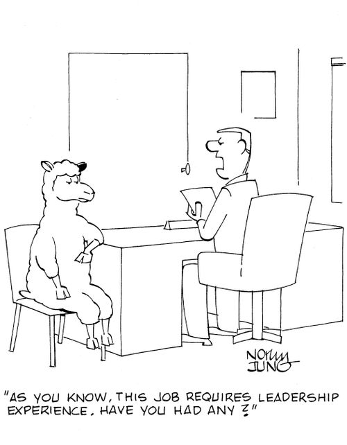 'As you know, this job requires leadership experience. Have you had any?'