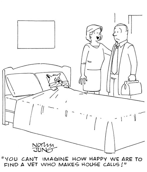 'You can't imagine how happy we are to find a vet who makes house calls!'
