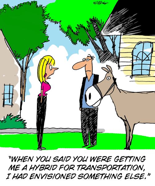 'When you said you were getting me a hybrid for transportation, I had envisioned something else.'