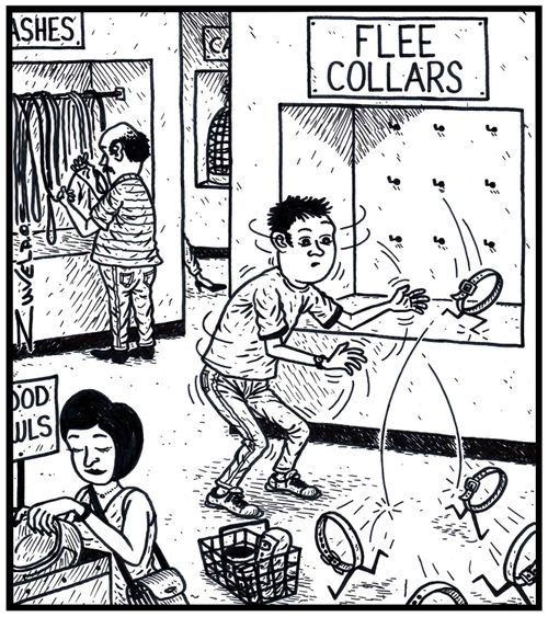 Flee Collars.