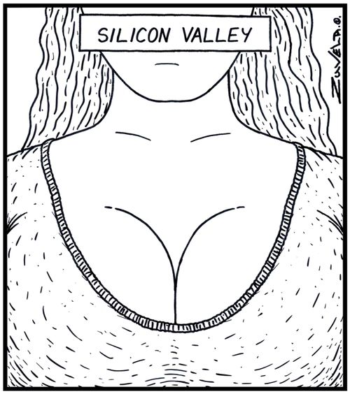 Silicon Valley 