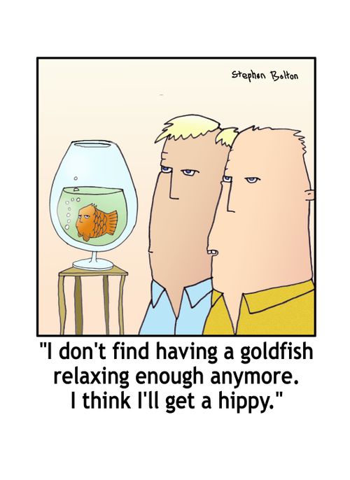 I don't find having a goldfish relaxing enough any more. I think I'll get a hippy.