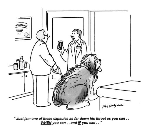 'Just jam one of these capsules as far down his throat as you can... WHEN you can... and IF you can.'