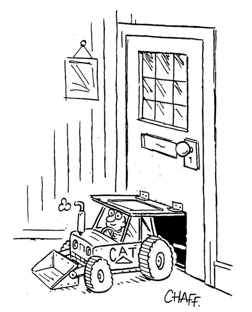 Cat flap for a truck.