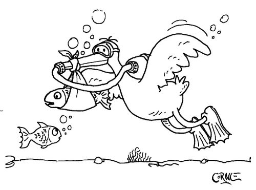 Stork Delivering Fish
