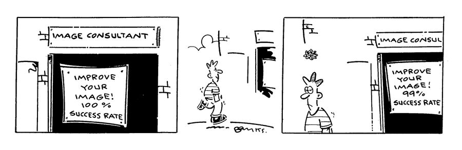 Nethead strip: Image consultant