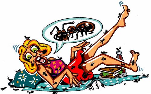Ant Girl