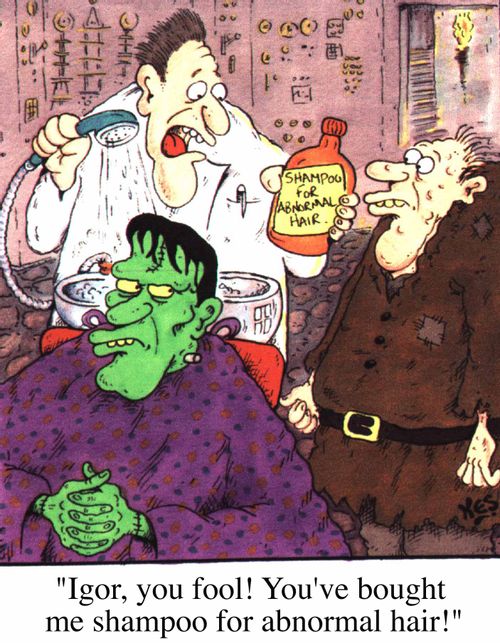 "Igor, you fool! You've brought me a shampoo for abnormal hair!"