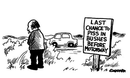 Last Chance to Piss in Bushes before Motorway