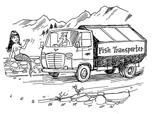 Mermaid hitchhiking