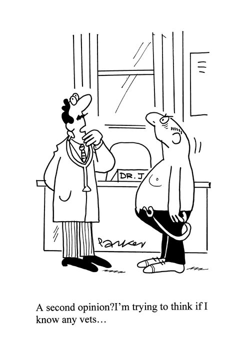 'A second opinion? I'm trying to think if I know any vets...'