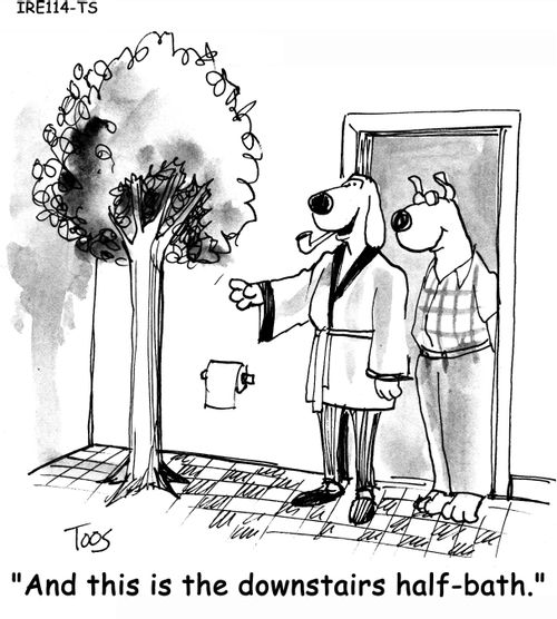 'And this is the downstairs half-bath.'