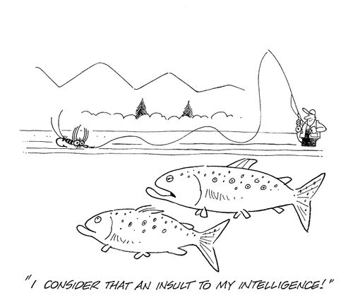 'I consider that an insult to my intelligence.'