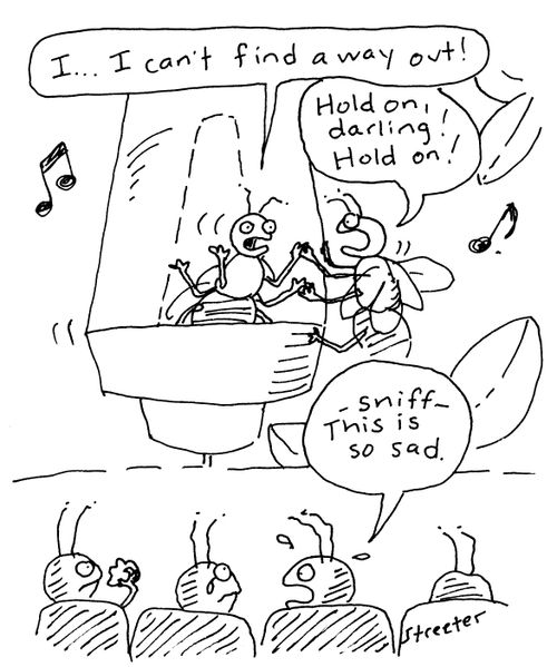 Tragic bug trap movie.