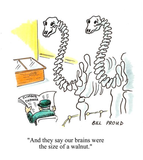 'And they say our brains were the size of a walnut.'