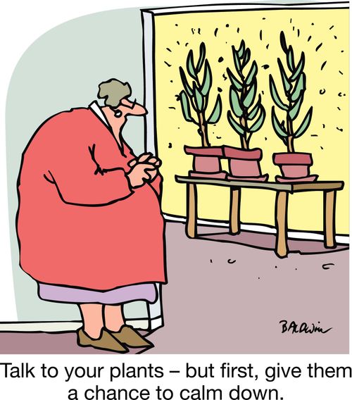 Talk to your plants ??" but first, give them a chance to calm down.