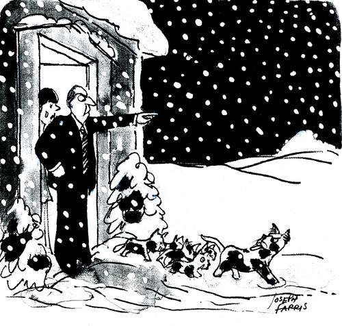 Putting the pets out.